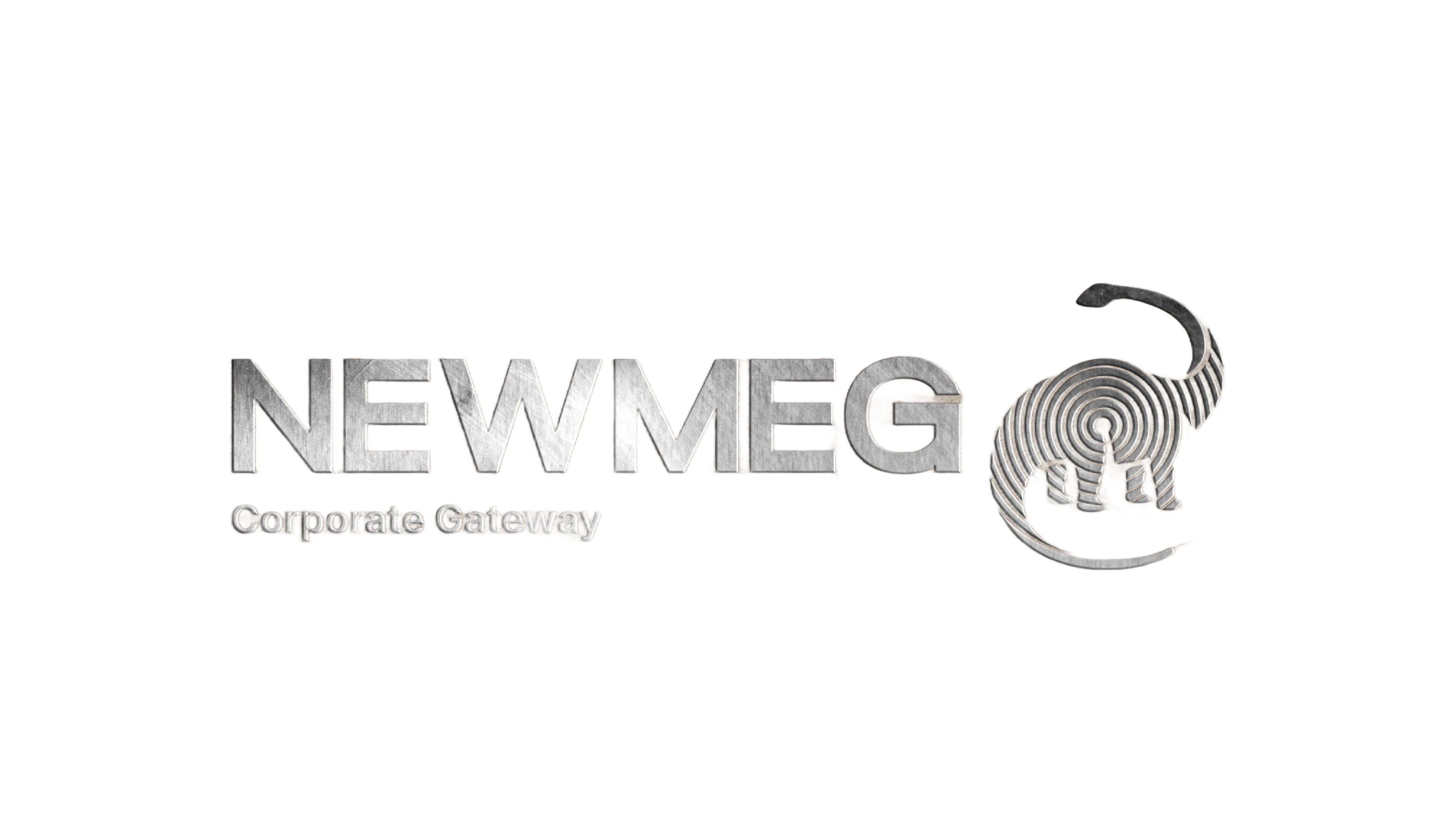 Newmeg Logo